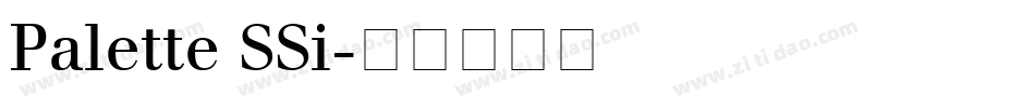 Palette SSi字体转换